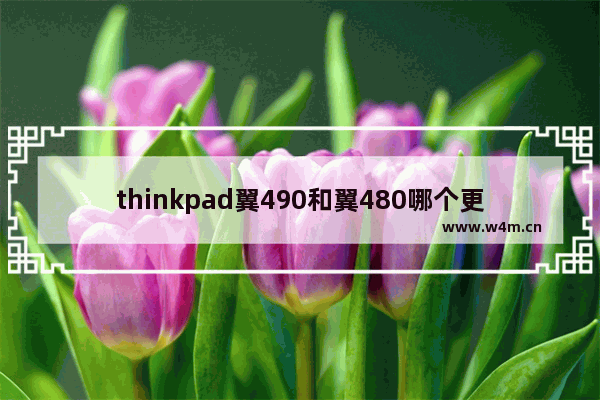 thinkpad翼490和翼480哪个更值得入手 thinkpad翼490和翼480哪个值得买