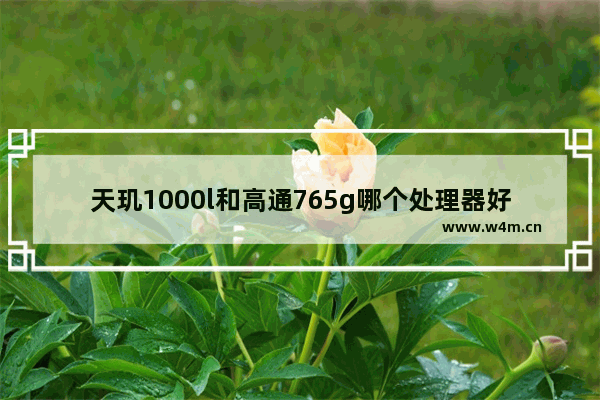 天玑1000l和高通765g哪个处理器好 天玑1000l处理器好还是高通765g好