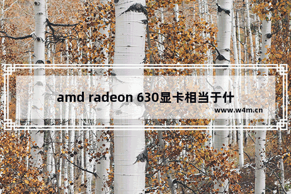 amd radeon 630显卡相当于什么显卡