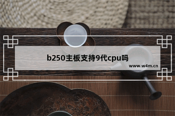 b250主板支持9代cpu吗