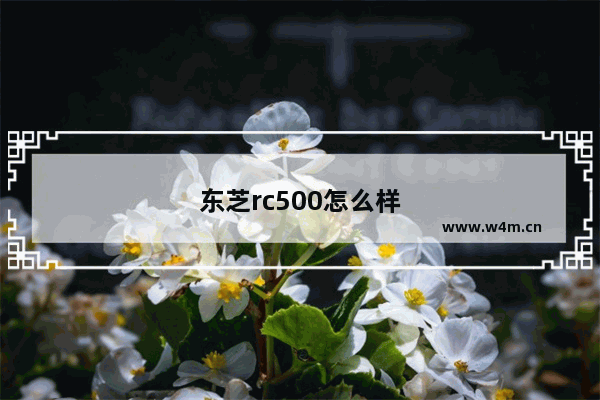 东芝rc500怎么样