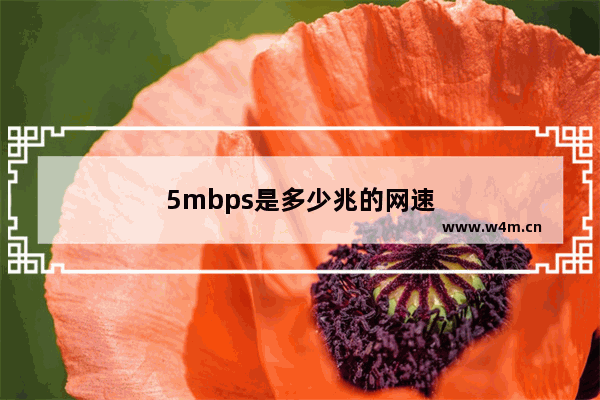 5mbps是多少兆的网速