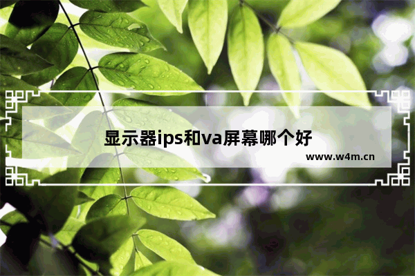 显示器ips和va屏幕哪个好