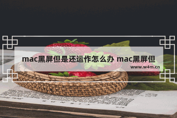 mac黑屏但是还运作怎么办 mac黑屏但是还运作怎么处理