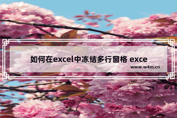 如何在excel中冻结多行窗格 excel怎么冻结多行窗格