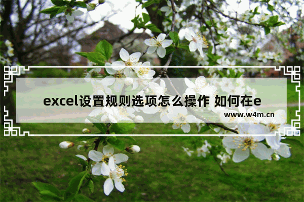 excel设置规则选项怎么操作 如何在excel中设置规则选项