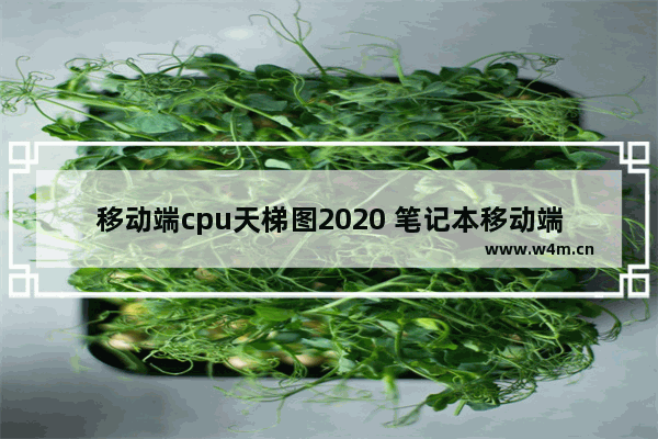 移动端cpu天梯图2020 笔记本移动端cpu天梯图