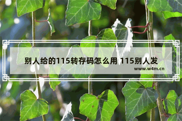 别人给的115转存码怎么用 115别人发的链接怎么用