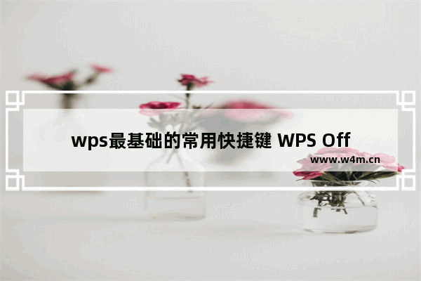 wps最基础的常用快捷键 WPS Office常用快捷键大全