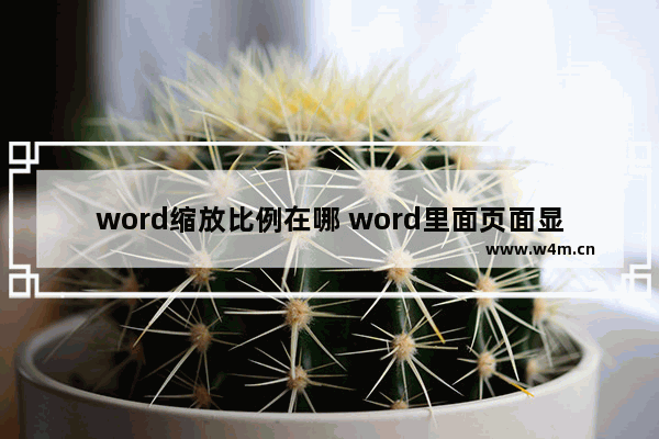 word缩放比例在哪 word里面页面显示比例在哪