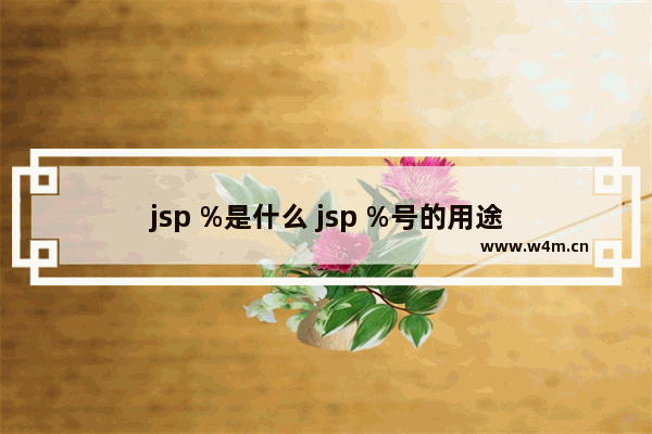 jsp %是什么 jsp %号的用途