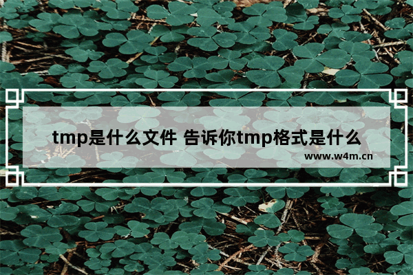 tmp是什么文件 告诉你tmp格式是什么文件