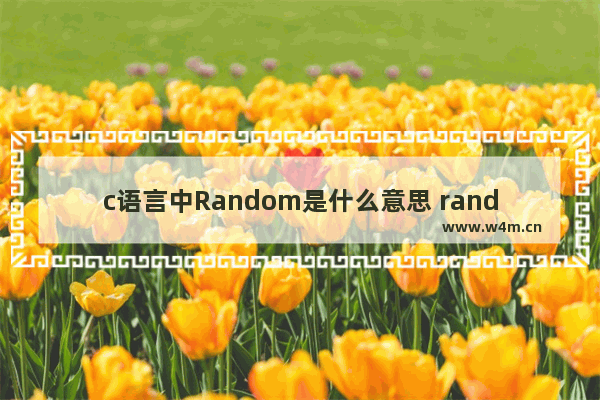 c语言中Random是什么意思 random()的头文件是什么