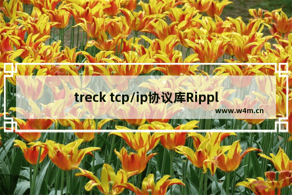 treck tcp/ip协议库Ripple20漏洞通告与说明 treck tvp/ip漏洞