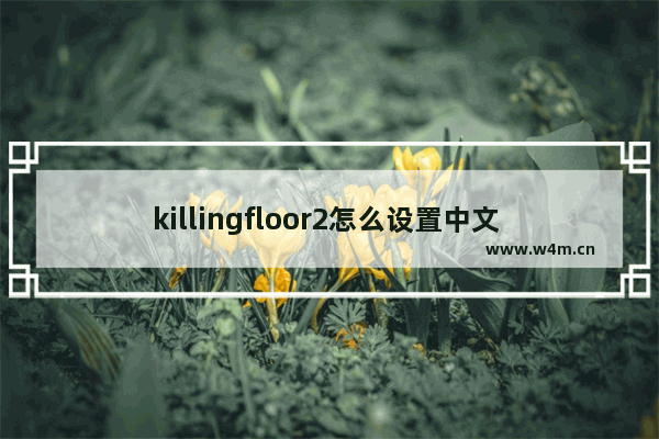 killingfloor2怎么设置中文 杀戮空间2怎么修改默认语言为中文