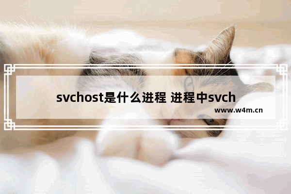 svchost是什么进程 进程中svchost.exe是什么