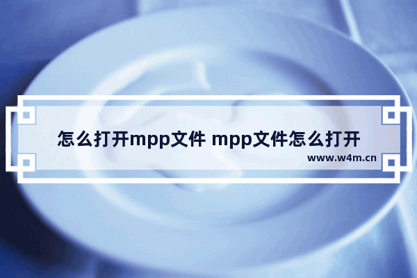 怎么打开mpp文件 mpp文件怎么打开