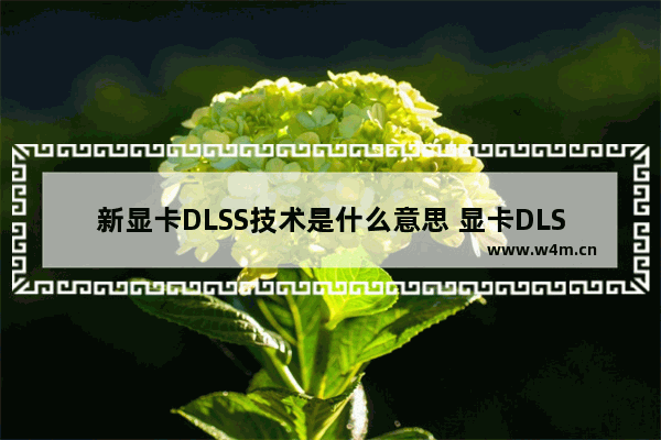 新显卡DLSS技术是什么意思 显卡DLSS是什么意思