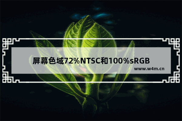 屏幕色域72%NTSC和100%sRGB哪个好