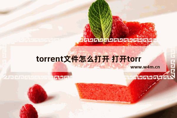 torrent文件怎么打开 打开torrent文件