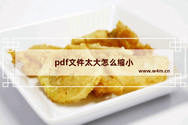 pdf文件太大怎么缩小