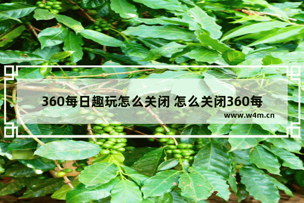 360每日趣玩怎么关闭 怎么关闭360每日趣玩