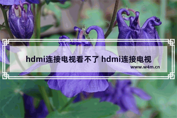 hdmi连接电视看不了 hdmi连接电视没反应