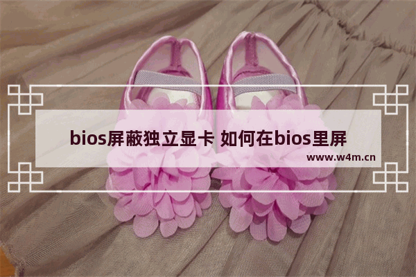 bios屏蔽独立显卡 如何在bios里屏蔽独显