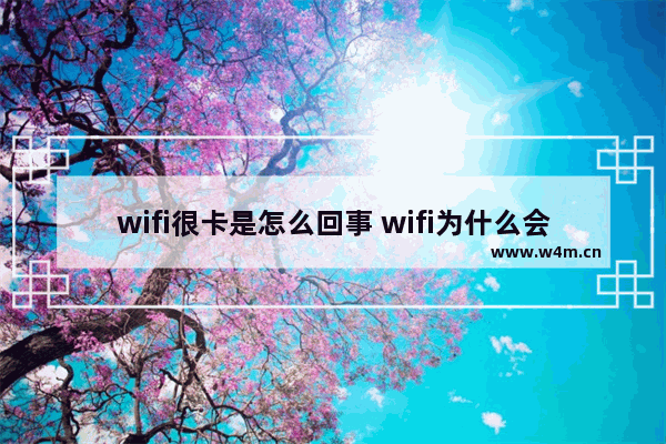 wifi很卡是怎么回事 wifi为什么会很卡