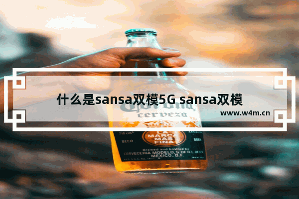 什么是sansa双模5G sansa双模5G是什么