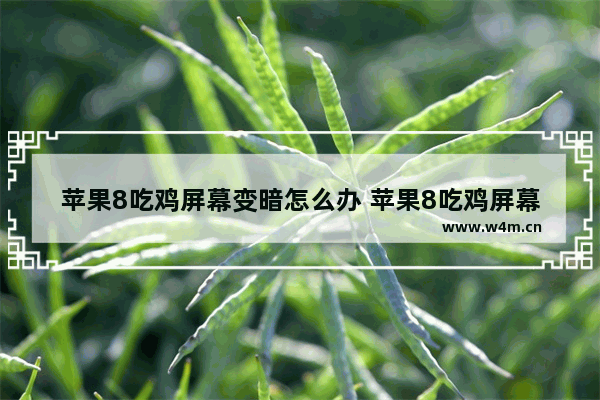 苹果8吃鸡屏幕变暗怎么办 苹果8吃鸡屏幕突然变暗如何解决