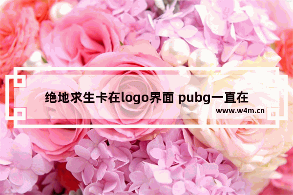 绝地求生卡在logo界面 pubg一直在加载画面