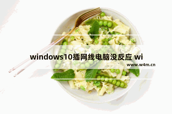 windows10插网线电脑没反应 windows10电脑插网线没反应怎么办