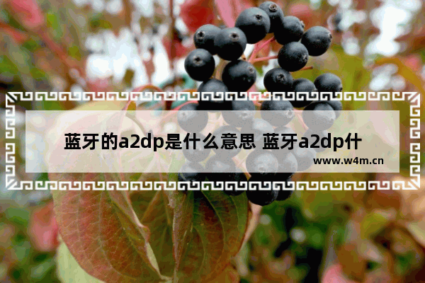 蓝牙的a2dp是什么意思 蓝牙a2dp什么意思