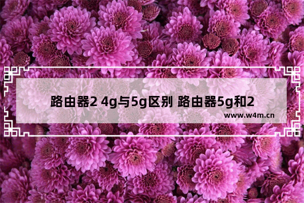 路由器2 4g与5g区别 路由器5g和2 4g的区别