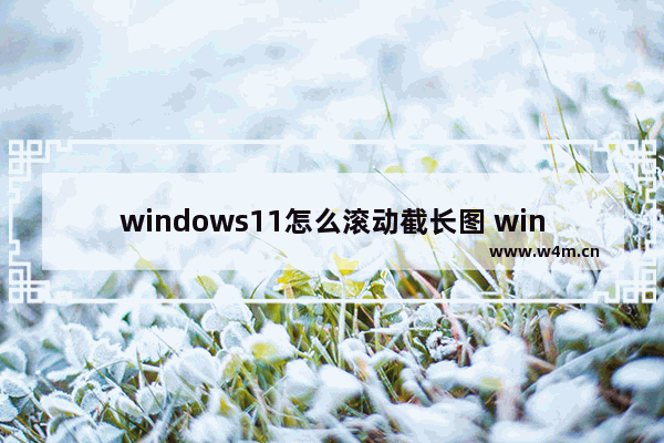 windows11怎么滚动截长图 windows11电脑截长图教程