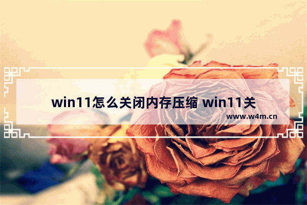 win11怎么关闭内存压缩 win11关闭内存压缩方法