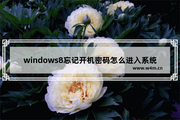 windows8忘记开机密码怎么进入系统 windows8忘记开机密码进入系统方法