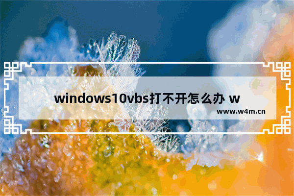 windows10vbs打不开怎么办 windows10vbs打不开解决办法