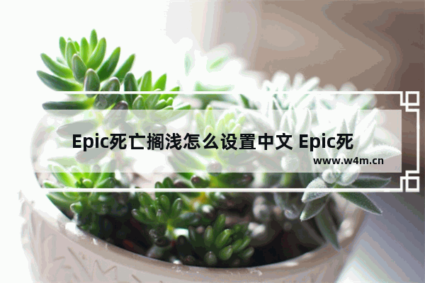 Epic死亡搁浅怎么设置中文 Epic死亡搁浅中文设置方法教学