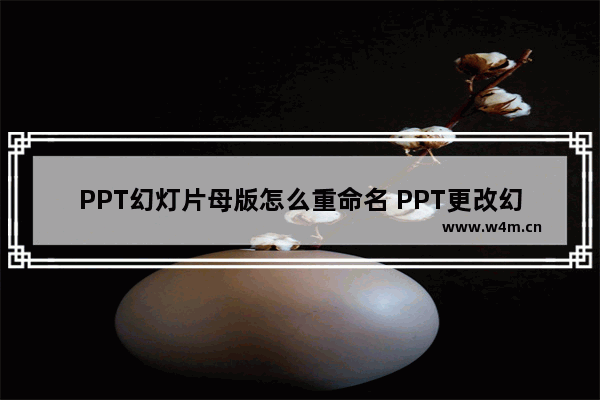 PPT幻灯片母版怎么重命名 PPT更改幻灯片母版名称的方法