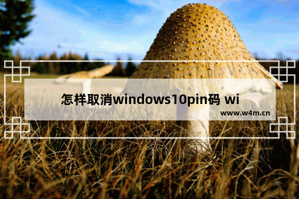 怎样取消windows10pin码 windows10pin码如何取消