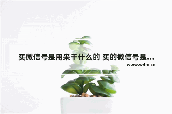 买微信号是用来干什么的 买的微信号是干什么的