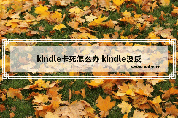 kindle卡死怎么办 kindle没反应的解决办法