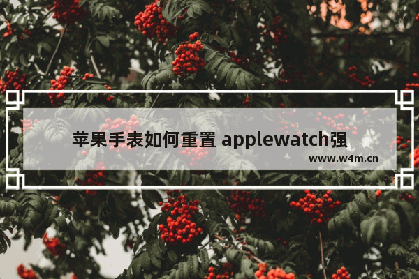 苹果手表如何重置 applewatch强制重置操作