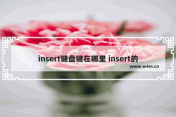 insert键盘键在哪里 insert的键在哪里