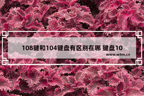 108键和104键盘有区别在哪 键盘104键和108键有什么区别