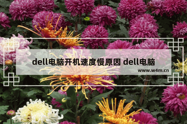 dell电脑开机速度慢原因 dell电脑开机慢是怎么回事