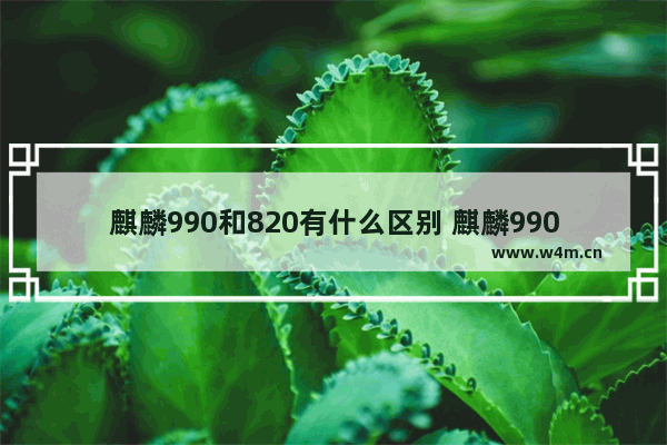 麒麟990和820有什么区别 麒麟990与820的区别