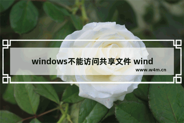 windows不能访问共享文件 windows无法访问共享文件怎么设置